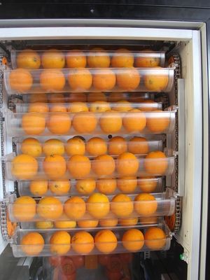 Zimna lodówka Świeżo wyciśnięty sok pomarańczowy Automat sprzedający długi czas